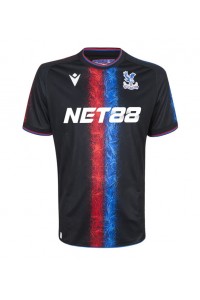 Crystal Palace Voetbaltruitje 3e tenue 2024-25 Korte Mouw